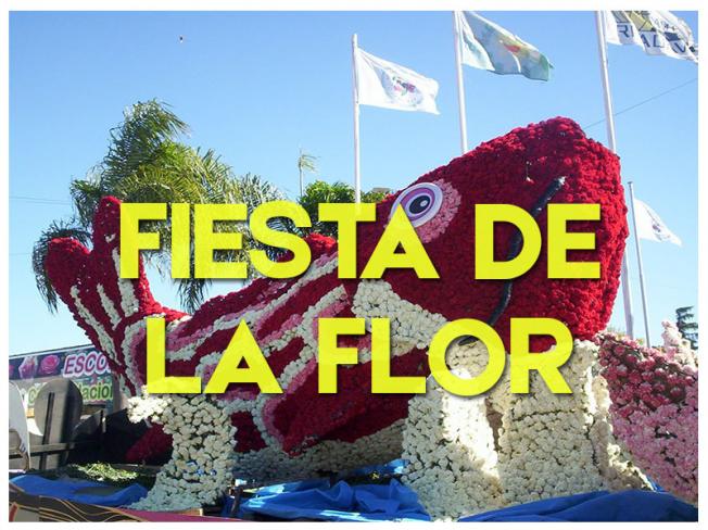 FIESTA DE LA FLOR - 2023