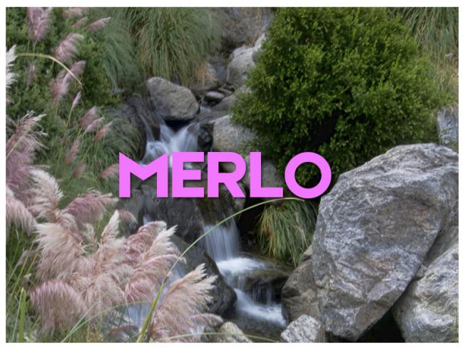 MERLO - 2023