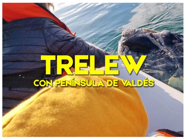 TRELEW con PENÍNSULA DE VALDÉS - 2023